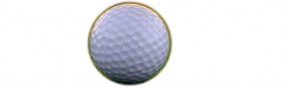 animated Golf Westchester logo
